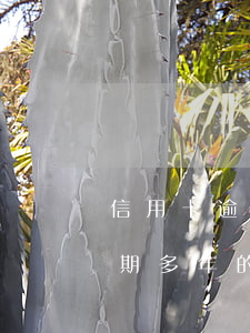 信用卡逾期次數(shù)多了怎么處理(逾期多年的信用卡怎么處理比較好)