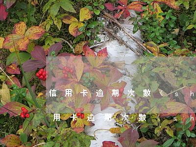 信用卡逾期次數(shù)多了怎么辦-信用卡逾期次數(shù)多了怎么辦2022