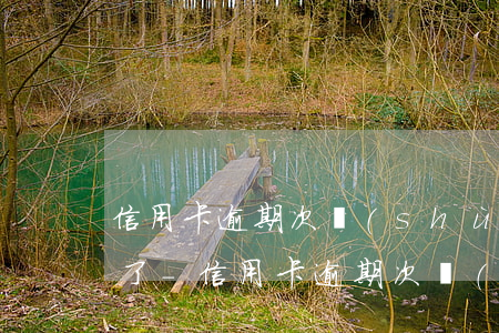 信用卡逾期次數(shù)多了怎么辦不了了-信用卡逾期次數(shù)多了怎么辦不了了呢