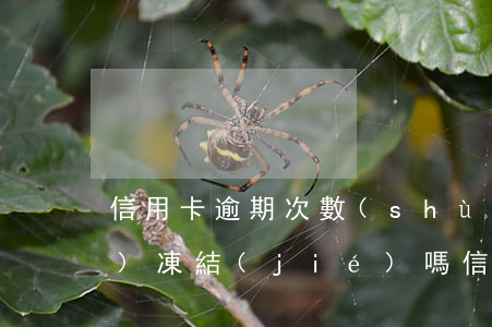 信用卡逾期次數(shù)多了會(huì)凍結(jié)嗎 信用卡逾期了銀行卡會(huì)凍結(jié)嗎