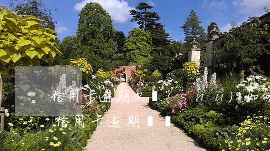 信用卡逾期次數(shù)如何查(怎么查詢信用卡逾期記錄)