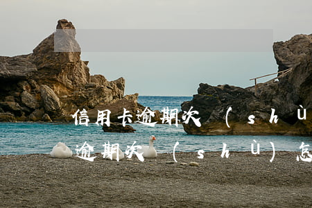 信用卡逾期次數(shù)怎么看-信用卡逾期次數(shù)怎么看的