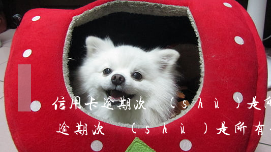 信用卡逾期次數(shù)是所有卡(信用卡逾期次數(shù)是所有卡)