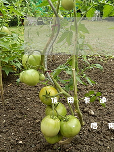 信用卡逾期次數(shù)跟征信上的不一樣-信用卡逾期次數(shù)跟征信上的不一樣嗎