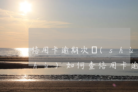 信用卡逾期次數(shù)跟逾期月數(shù)(如何查信用卡逾期次數(shù))