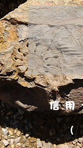 信用卡逾期次數(shù)過(guò)多會(huì)影響選舉嗎-有幾次信用卡逾期會(huì)影響貸款買(mǎi)房么