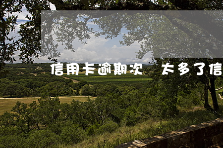 信用卡逾期次數太多了(信用卡逾期限高)