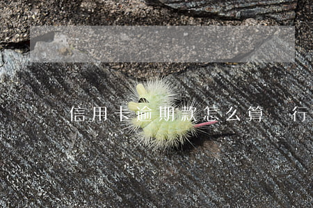 信用卡逾期款怎么算 銀行卡逾期怎么算