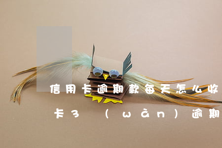 信用卡逾期款每天怎么收費(fèi)(信用卡3萬(wàn)逾期一天怎么收費(fèi))