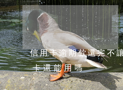 信用卡逾期款還完不讓用怎么辦(逾期后信用卡還能用嗎)