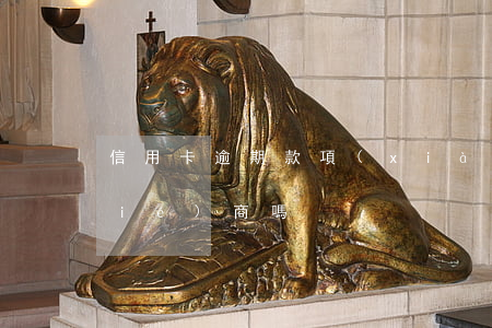 信用卡逾期款項(xiàng)可以協(xié)商嗎