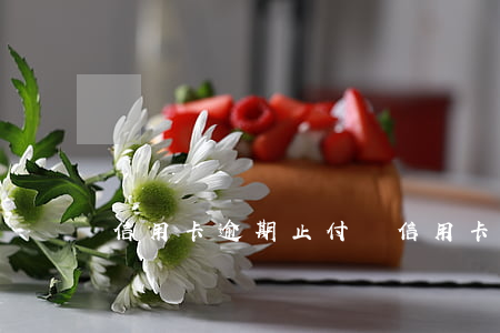 信用卡逾期止付嗎(信用卡逾期止付嗎)