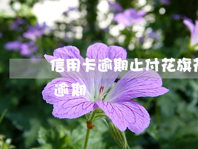 信用卡逾期止付花旗(花旗銀行信用卡8萬已逾期)