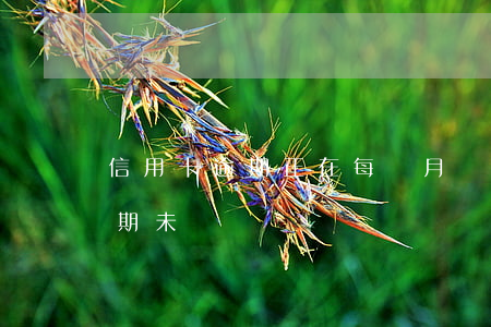 信用卡逾期正在每個月還款 現在我信用卡逾期未還