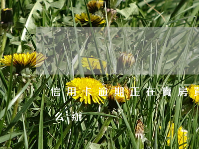 信用卡逾期正在賣房(買房時信用卡有逾期怎么辦)