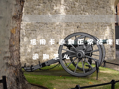 信用卡逾期正常法律程序(因刑事案件信用卡逾期怎么辦)