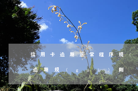 信用卡逾期正常程序規(guī)定(信用卡逾期規(guī)則)