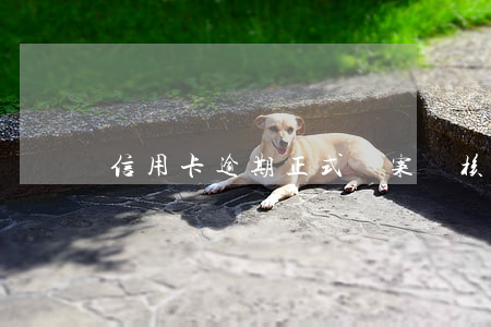 信用卡逾期正式備案審核