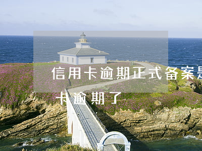信用卡逾期正式备案是什么意思(什么叫信用卡逾期了)