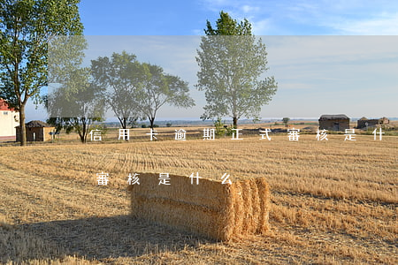 信用卡逾期正式審核是什么(信用卡逾期正式審核是什么)