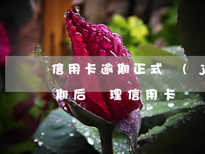 信用卡逾期正式進(jìn)入審核階段(逾期后辦理信用卡)