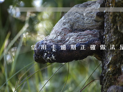 信用卡逾期正確做法是 信用卡 逾期怎么辦