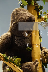 信用卡逾期正確方法(信用卡逾期正確方法是什么)