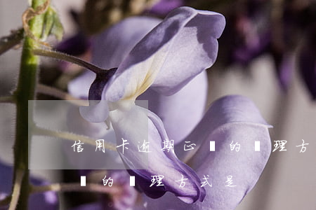 信用卡逾期正確的處理方式-信用卡逾期正確的處理方式是