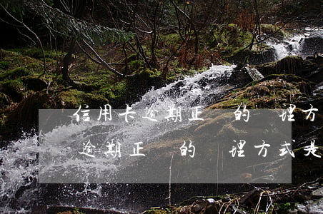 信用卡逾期正確的處理方式是什么-信用卡逾期正確的處理方式是什么意思