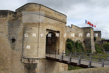 信用卡逾期正確的處理方式是(信用卡 還款 逾期)
