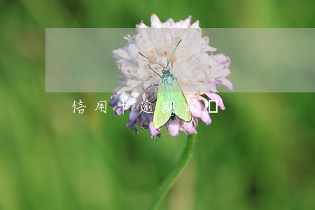 信用卡逾期武漢