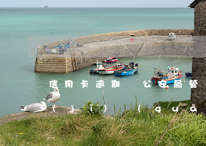 信用卡逾期歸公安局管嗎(信用卡逾期公安機(jī)關(guān)會(huì)不會(huì)受理)