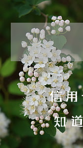 信用卡逾期歸哪個(gè)訴訟中心(怎么能知道信用卡逾期有沒(méi)有被起訴)