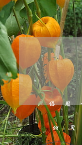 信用卡逾期歸哪個部門(有解決信用卡逾期的公司嗎)
