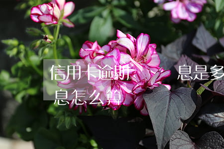 信用卡逾期歸還罰息是多少(欠信用卡逾期利息怎么算)