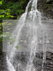 信用卡逾期死了對子女有影響