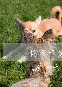 信用卡逾期每个月还一点可以吗(我信用卡逾期一天可以吗)
