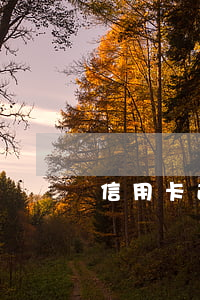 信用卡逾期每個(gè)月存兩百