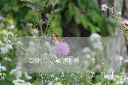 信用卡逾期每個(gè)月還2千可以嗎(2萬(wàn)信用卡逾期一個(gè)月利息多少)
