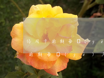 信用卡逾期每個(gè)月還400(信用卡逾期每個(gè)月還100會(huì)被起訴嗎)