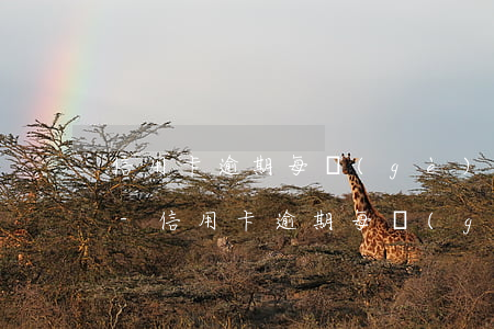 信用卡逾期每個(gè)月還幾百塊有事嗎-信用卡逾期每個(gè)月還幾百塊有事嗎知乎