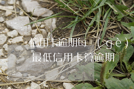 信用卡逾期每個(gè)月還最低可以嗎(還最低信用卡算逾期嗎)