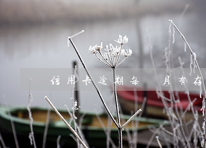 信用卡逾期每個月有存錢(有一筆信用卡逾期會怎樣)