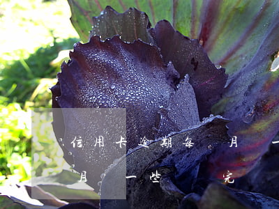 信用卡逾期每個月還一些-信用卡逾期每個月還一些會還完嗎?