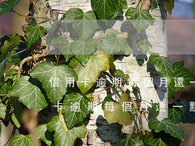 信用卡逾期每個月還一些會起訴嗎-欠信用卡逾期每個月還一點會立案嗎