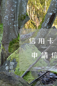 信用卡逾期每個月還可以嗎(有一次逾期還能申請信用卡嗎)