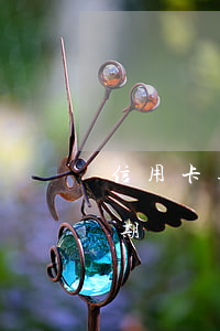 信用卡逾期每個月還幾百塊(幾十塊信用卡逾期)