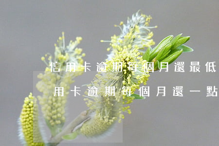 信用卡逾期每個月還最低會被起訴么-欠信用卡逾期每個月還一點會立案嗎