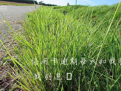 信用卡逾期每天扣我利息(信用卡逾期每天扣我利息嗎)
