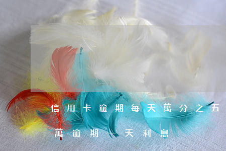 信用卡逾期每天萬分之五合法嗎-信用卡5萬逾期一天利息